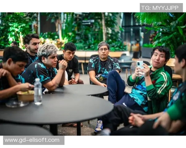 DOTA2战术解析：深入探讨RNG战队的进攻策略与团队配合