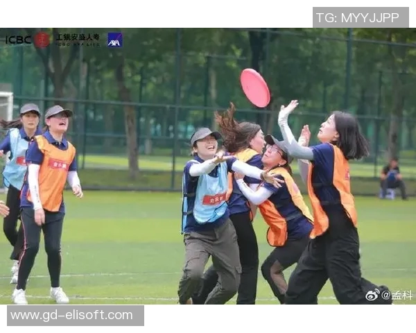飞盘精神：广州飞盘队的拼搏历程与成长故事