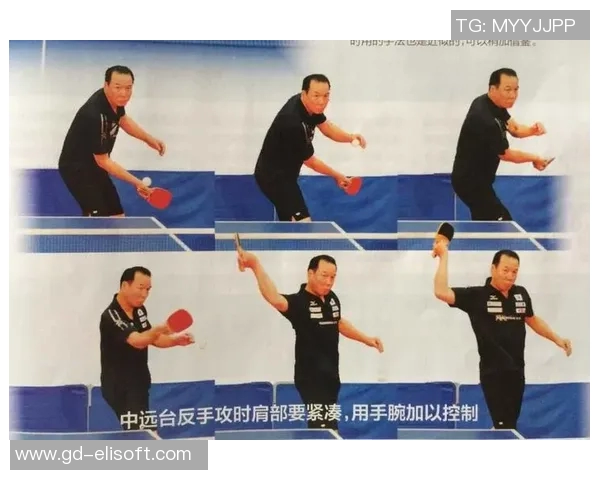 乒乓球新手必看：从基础技术到实战技巧的全面入门指南