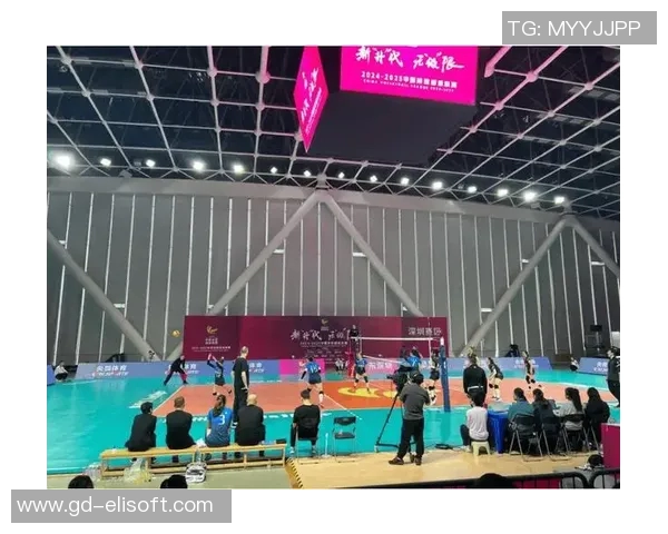 上海排球队的战术转型与深度解析探秘排球竞技的魅力与挑战