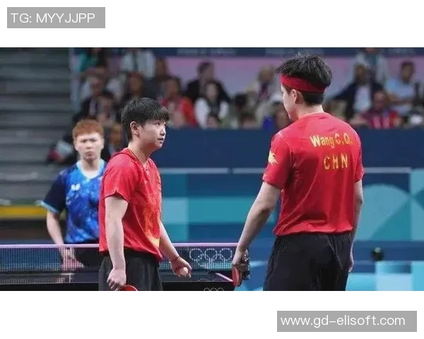 深圳乒乓球队在奥运会上的卓越表现与团队力量的深度解析