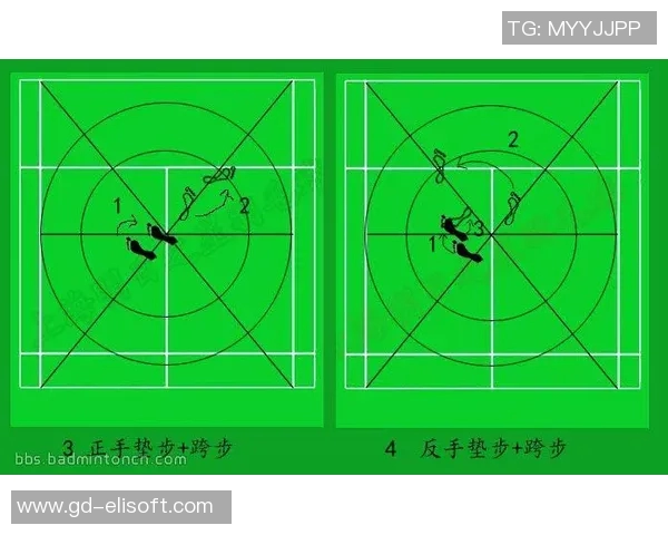 深圳羽毛球队与上海羽毛球队赛后战术分析与总结探讨