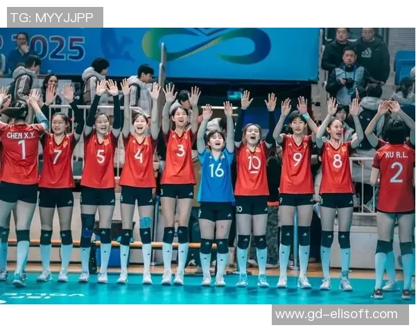 上海排球队实力飙升再创新高引领全国排球新格局