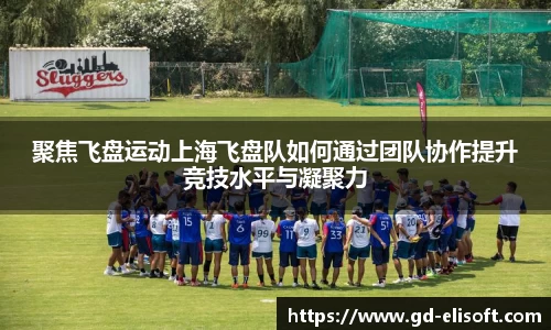 聚焦飞盘运动上海飞盘队如何通过团队协作提升竞技水平与凝聚力