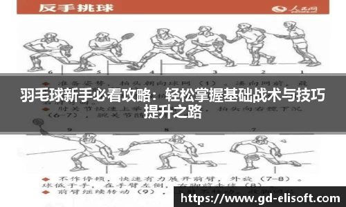 羽毛球新手必看攻略：轻松掌握基础战术与技巧提升之路