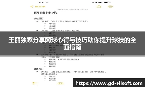 王丽独家分享网球心得与技巧助你提升球技的全面指南