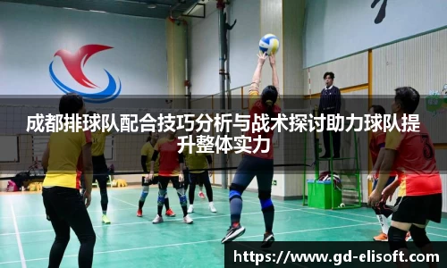 成都排球队配合技巧分析与战术探讨助力球队提升整体实力