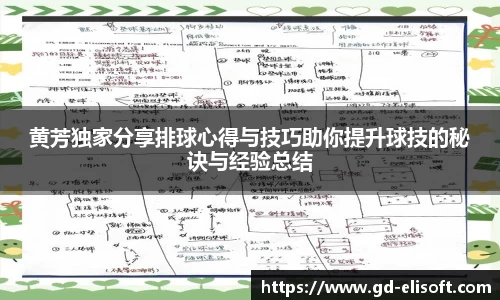 黄芳独家分享排球心得与技巧助你提升球技的秘诀与经验总结
