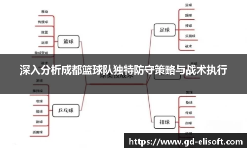深入分析成都篮球队独特防守策略与战术执行