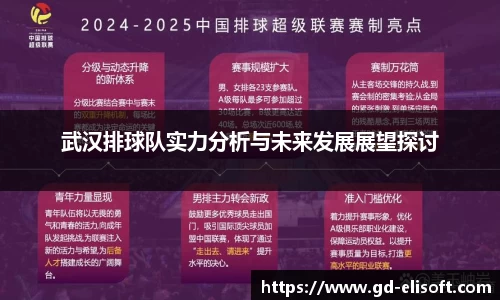 武汉排球队实力分析与未来发展展望探讨