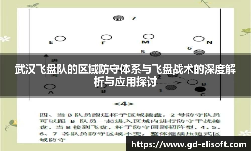 武汉飞盘队的区域防守体系与飞盘战术的深度解析与应用探讨